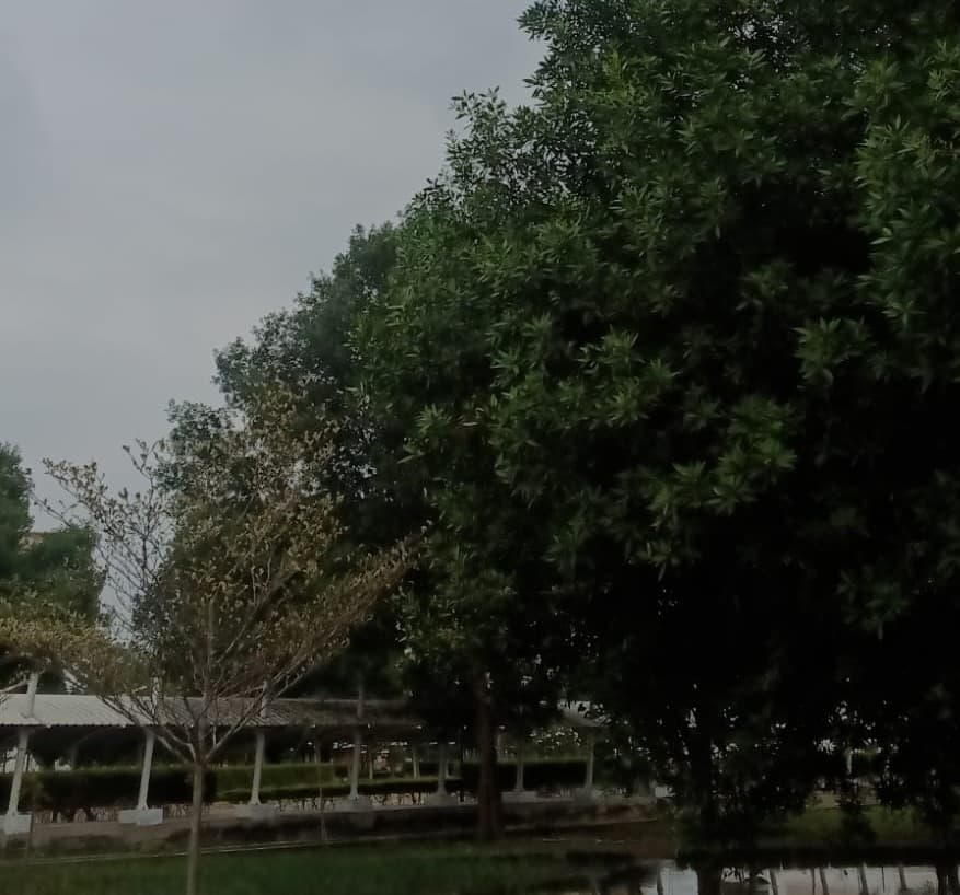 VIT AP Academic Building photo 9